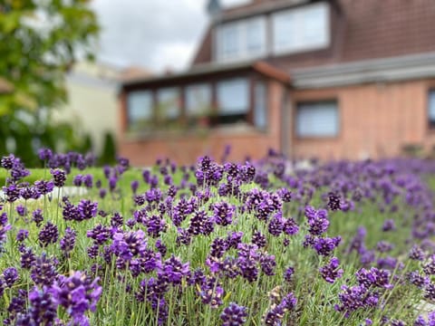 Strandnähe Apartment in Scharbeutz