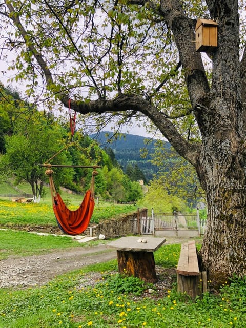 Spring, Natural landscape, Garden, Garden view, Mountain view