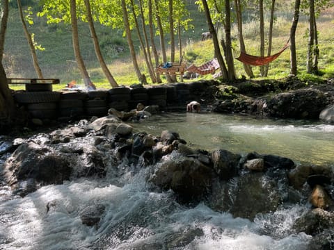 Garden, Garden view, River view