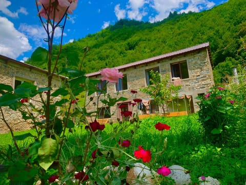 Property building, Natural landscape, Garden, Garden view, Mountain view