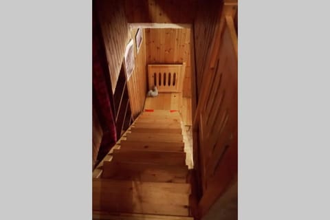 Chalet indipendente in centro a Valtournenche Chalet in Valtournenche