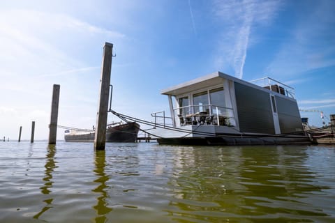 Blackbird Docked boat in Biddinghuizen