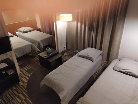 Le Jourdain Apartment in Paris