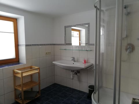 Shower, Toilet, Bathroom, Decorative detail