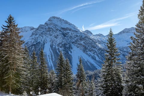 Natural landscape, Winter, Mountain view