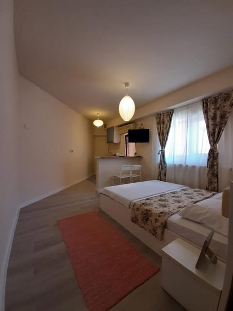 Casa Flamingo Bed and Breakfast in Craiova