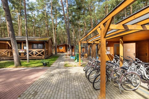 Property building, Activities, Area and facilities, Area and facilities