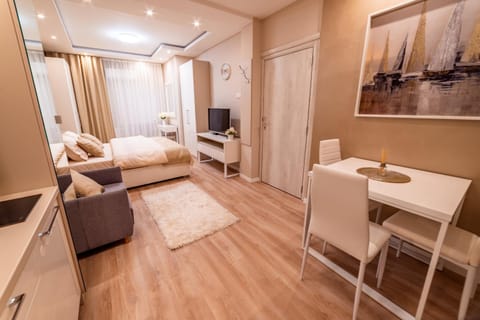 Ivi Place Apartments Apartment in Novi Sad