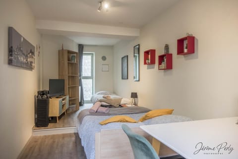 Petit studio hypercentre d'Orléans avec jardin Apartment in Orléans