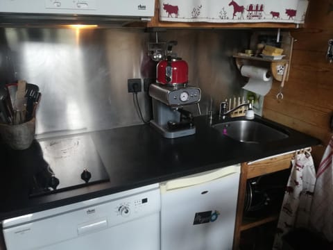 Kitchen or kitchenette, kitchen