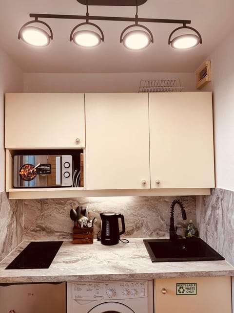 Kitchen or kitchenette, minibar, stove