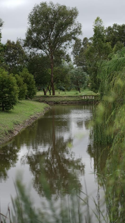 Day, Natural landscape, Lake view