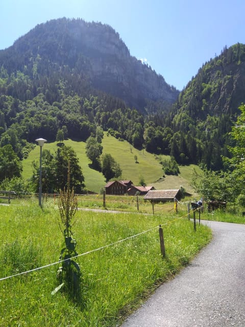 Natural landscape, Hiking, Mountain view