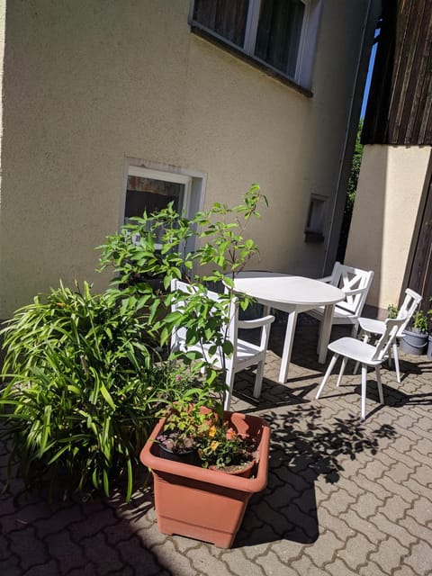 Patio, Garden, Dining area