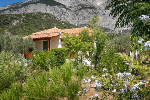 Property building, Garden view