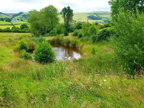 Cozy Cabin Retreat - Sleeps 2 & a Child Cabin in Wales