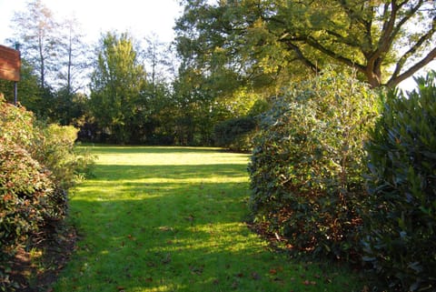 Garden, Garden view