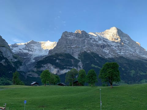 Eiger, Jungfrau, luxury garden apartment Condo in Grindelwald