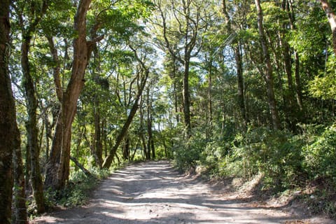 Green Habitat Maison in Monteverde