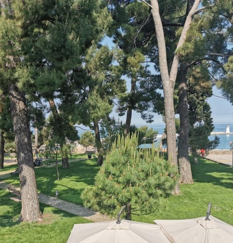 Garden, Sea view