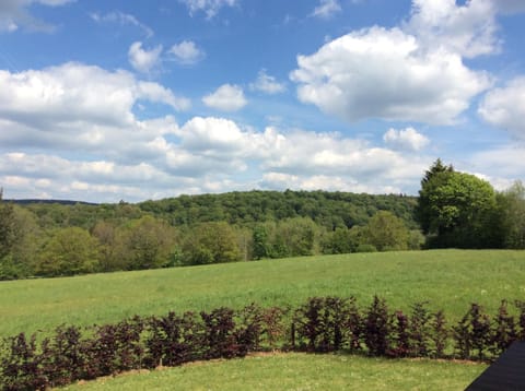 Natural landscape, Garden view