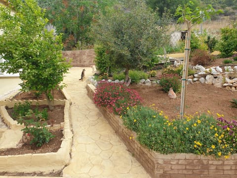 Villa Rania Loutraki Villa in Euboea