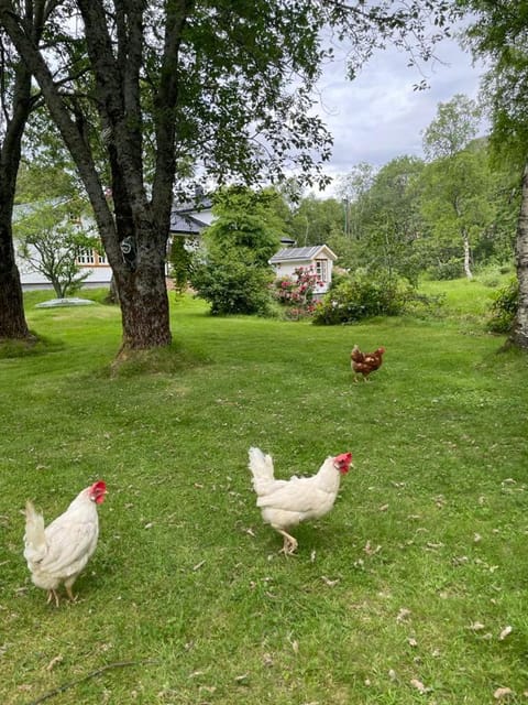 Leka Overnatting House in Nordland, Norway