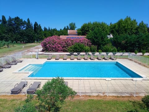 Garden, Pool view, Swimming pool