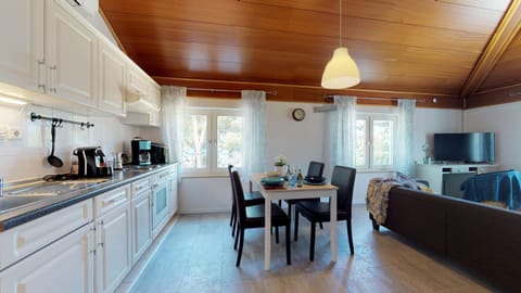 Kitchen or kitchenette, Living room, Seating area, Dining area, oven, stove