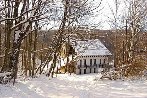 Property building, Winter