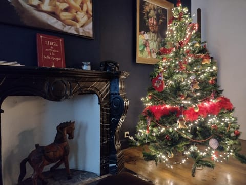 GITADIN - Deluxe Suite Rousseau - Historical center Apartment in Liège