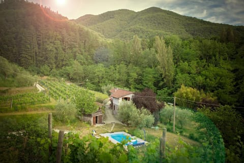 Bird's eye view, Garden, On site, Swimming pool