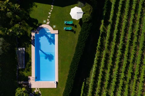 Bird's eye view, Pool view