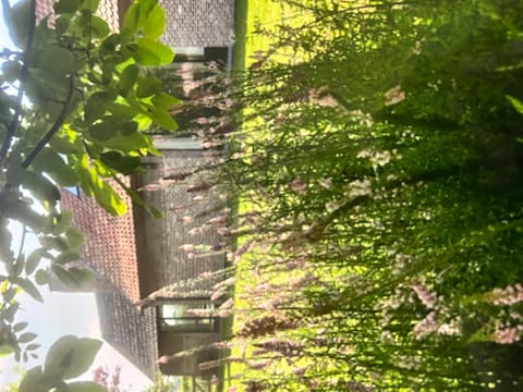 Bellefleur House in Flanders