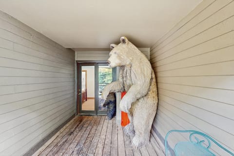 Cimarron Mountain Retreat Apartment in Telluride