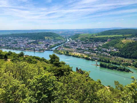 Rheinhotel Starkenburger Hof Hotel in Mainz-Bingen