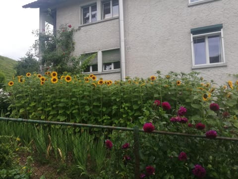 Billenberghof Apartment in St. Gallen