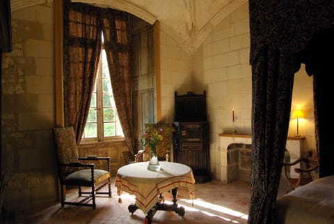 Château de Veuil Bed and Breakfast in Centre-Val de Loire