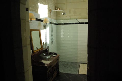 Château de Veuil Bed and Breakfast in Centre-Val de Loire