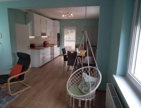 Living room, kitchen