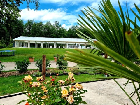 Garden view, Pool view, Swimming pool