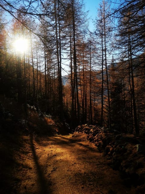 la casa dei nonni Apartment in Valtournenche