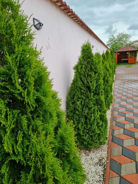 Vila NICHOLAS Bed and Breakfast in Prahova, Romania