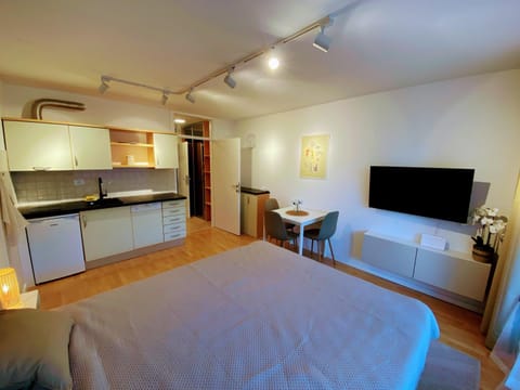 TV and multimedia, Kitchen or kitchenette, Photo of the whole room, Dining area