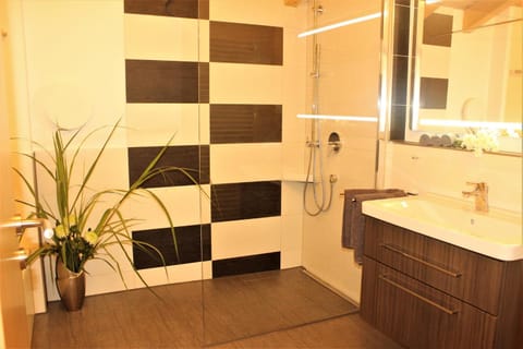 Shower, Bathroom, Photo of the whole room, Decorative detail