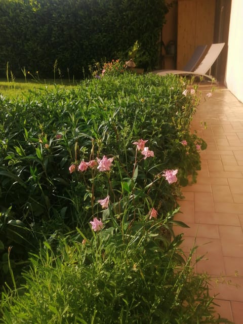 Patio, Garden, Balcony/Terrace, Garden view