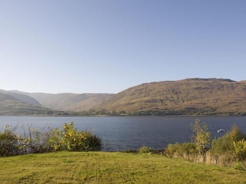 tulips Apartment in Scotland