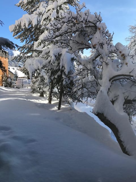 CHALET FAMILIAL AURON Chalet in Saint-Étienne-de-Tinée