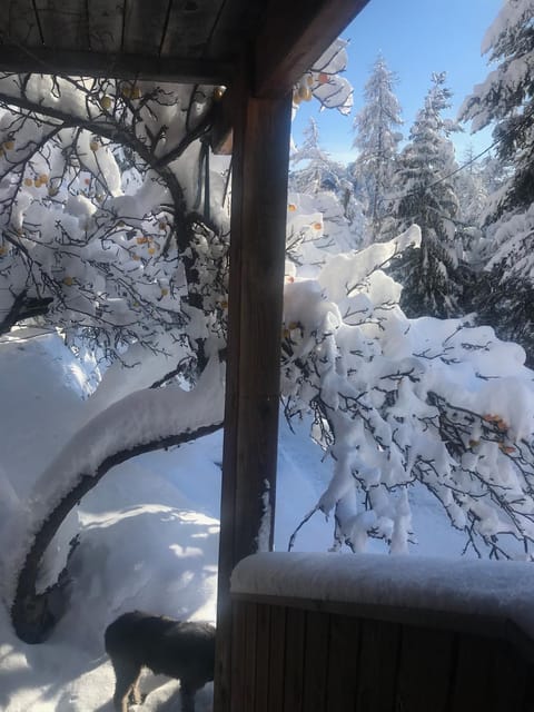 CHALET FAMILIAL AURON Chalet in Saint-Étienne-de-Tinée