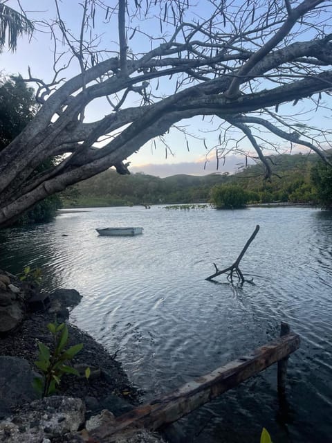 Natural landscape, Lake view, River view